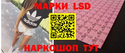 амф Камышлов