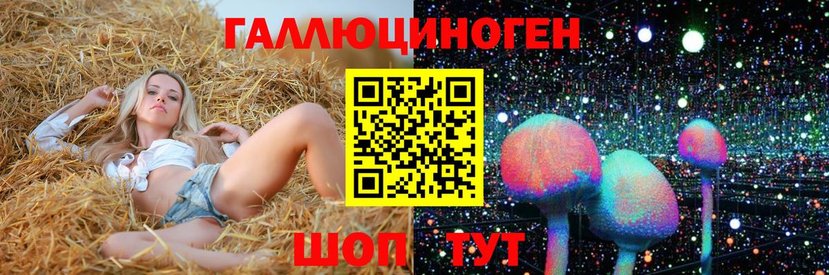 Галлюциногенные грибы Psilocybine cubensis Красный Сулин