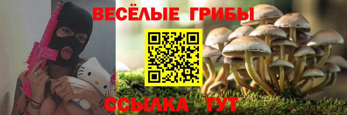 Красный Сулин  Галлюциногенные грибы Cubensis  Вход с VPN  Псилоцибиновые грибы Psilocybine cubensis 